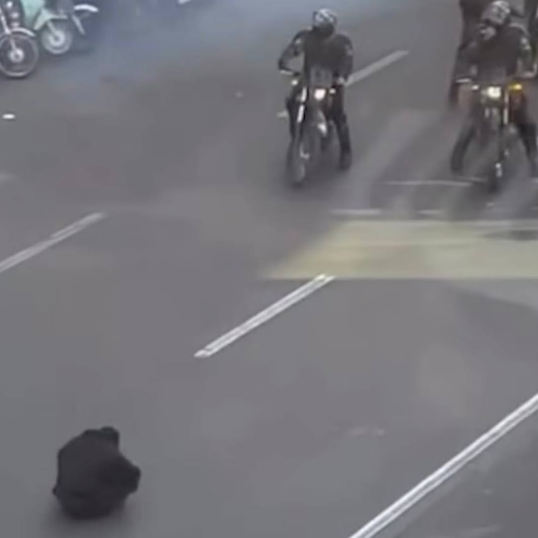 در بین تمام تصاویر امروز، چشمانم به این صحنه خشک شد.
مردی که دیگر چیزی برای از دست دادن ندارد، تنها و با دست خالی در مقابل نیروی سرکوب روی زمین نشست …
#اعتصابات_سراسری 
#اعتراضات_سراسری 
این عکس را جهانی کنید
#گارد_جاویدان_ایران