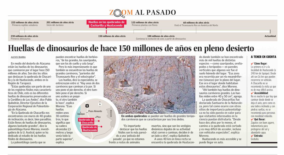 Corporación Paleontológica tweet media