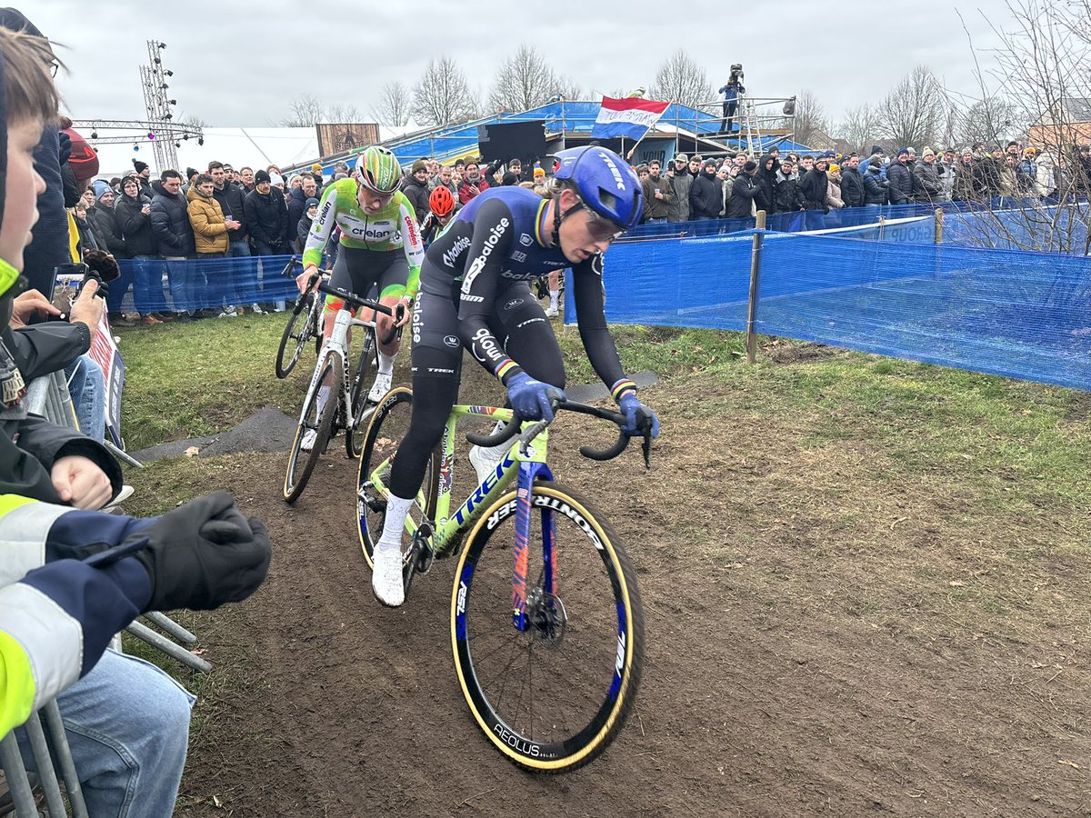 ヤナケン (@toshigreen) on X