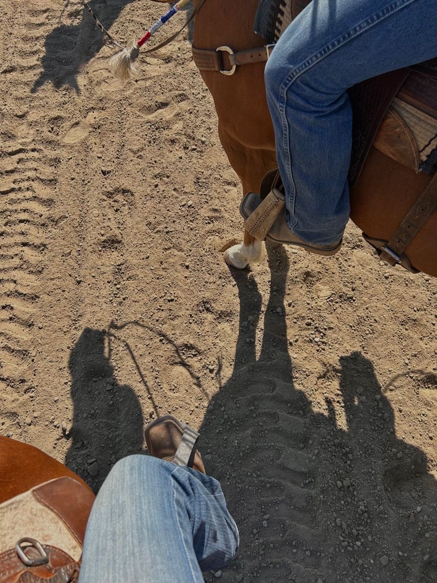 teapt_'s tweet image. 🐎🙂‍↕️