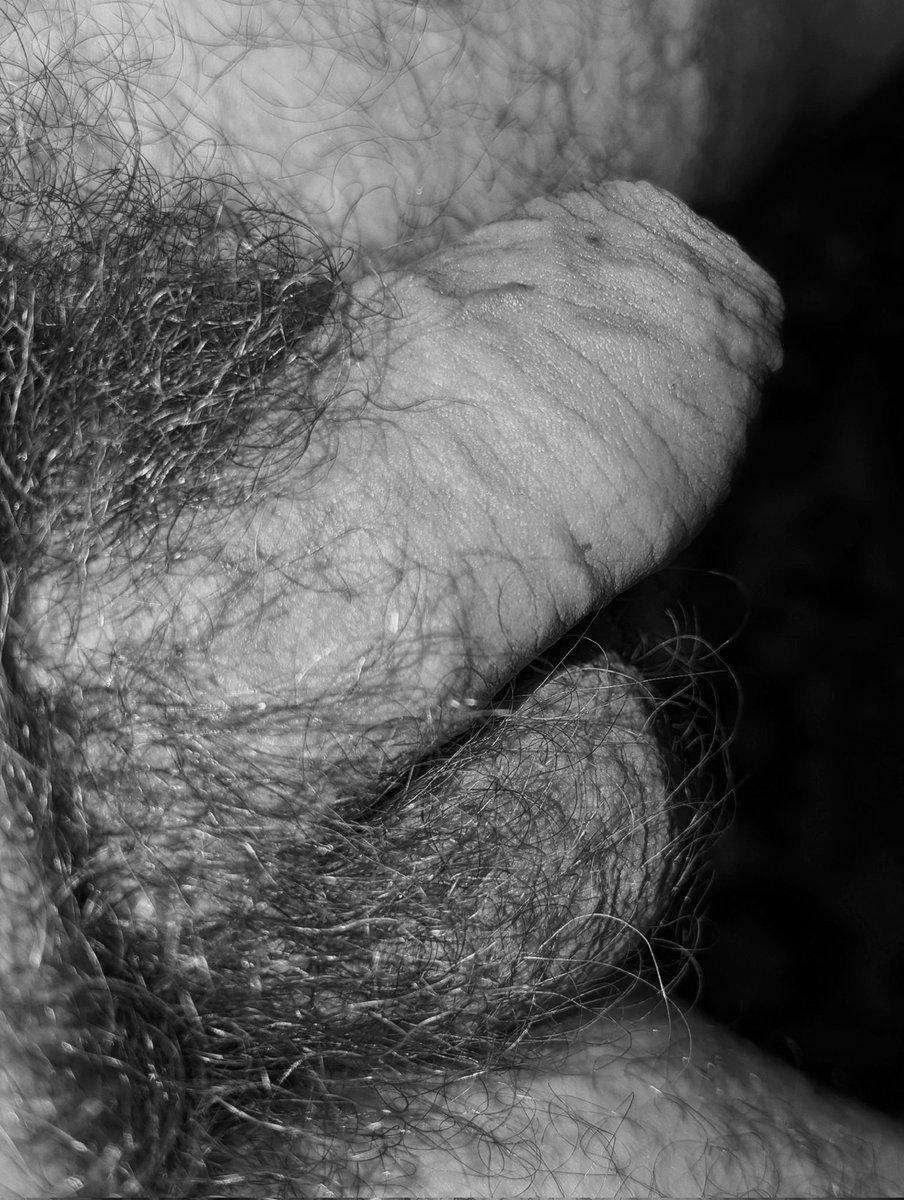 Sinner of Babylon tweet media