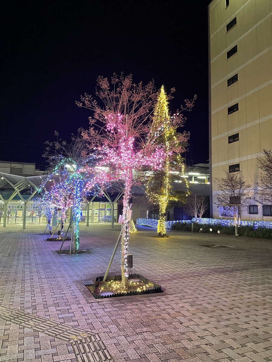 年末になると地元の高校生が思いおもいに描いたであろう絵がびっしり展示されてよい