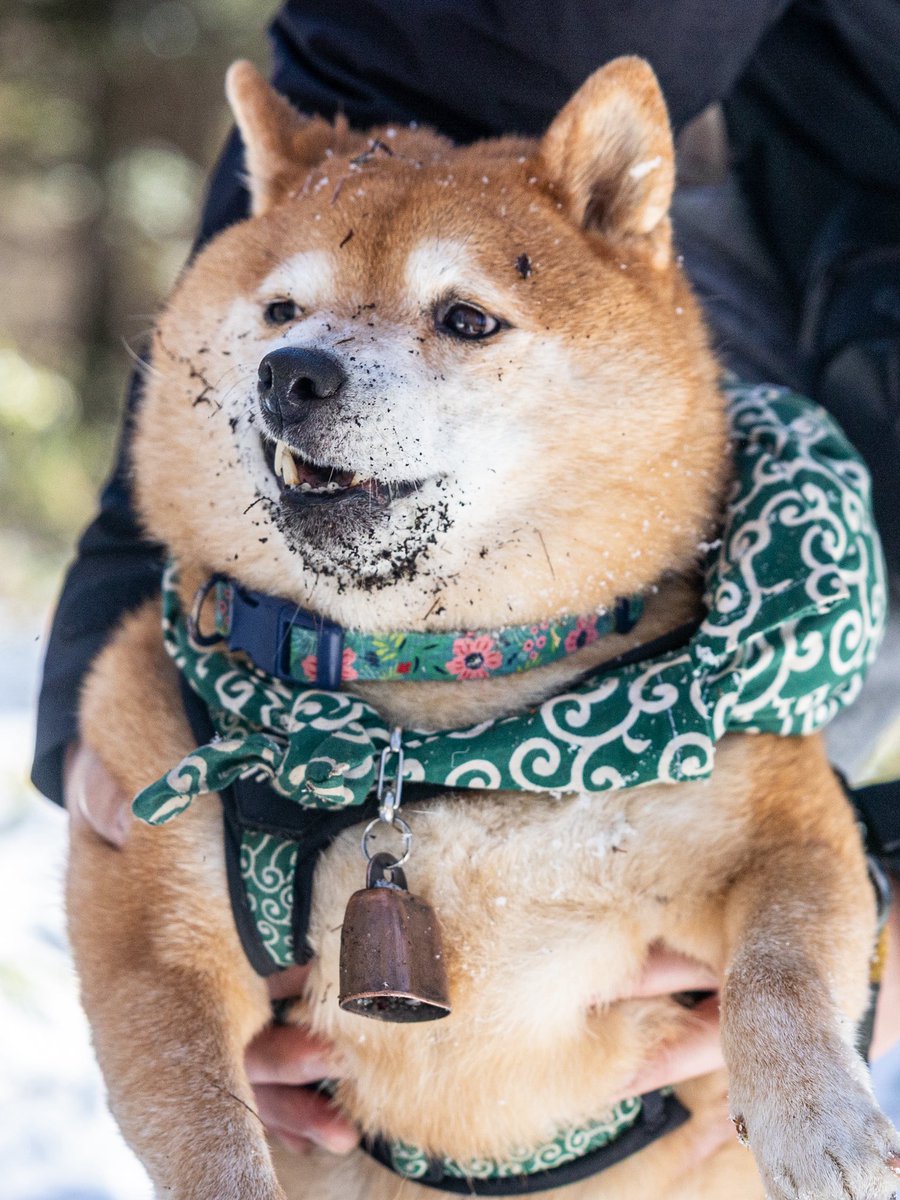 サカイアキラ (@sakai09627106) / Posts / X