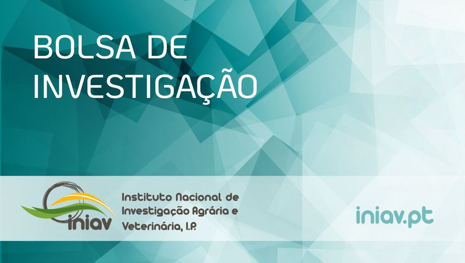 Concurso para a atribuição de uma Bolsa de Investigação para Licenciado (BI).

​Data de abertura das candidaturas: 29-12-2025
Data de encerramento das candidaturas: 14-01-2026

Aceda aqui à bolsa: iniav.pt/images/INIAV/R…

#INIAV #bolsas #investigacao