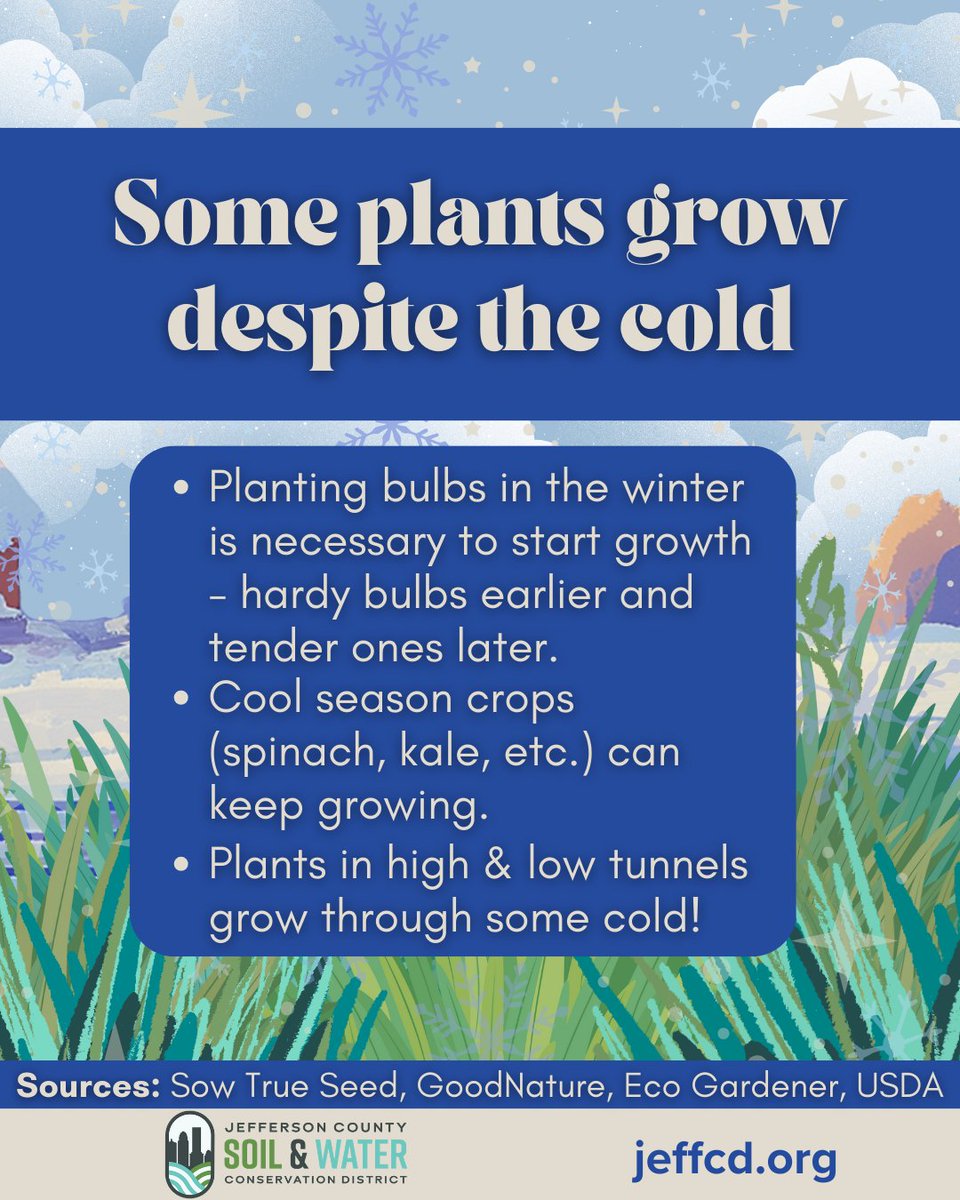 ‘Tis the season! Take advantage of plant hardiness and grow through the winter.

Many spring flower bulbs need a cold dormancy period in order to bloom. Late season crops can keep growing through the winter, especially if you include some frost protection.

#gardening #winter