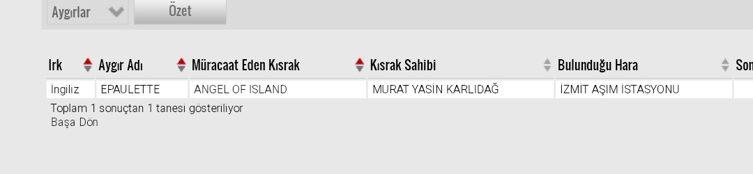 Pastanın çileğini de koyduk  🍓