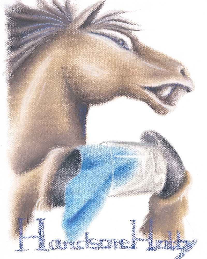 わちふぃーるど　色々 パタパタメモ チェコスケッチ | わちふぃーるどオンラインショップ