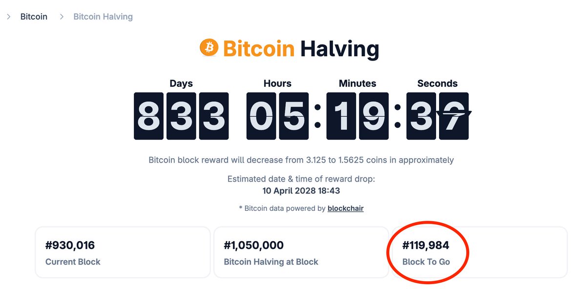 Bitcoin Archive tweet media