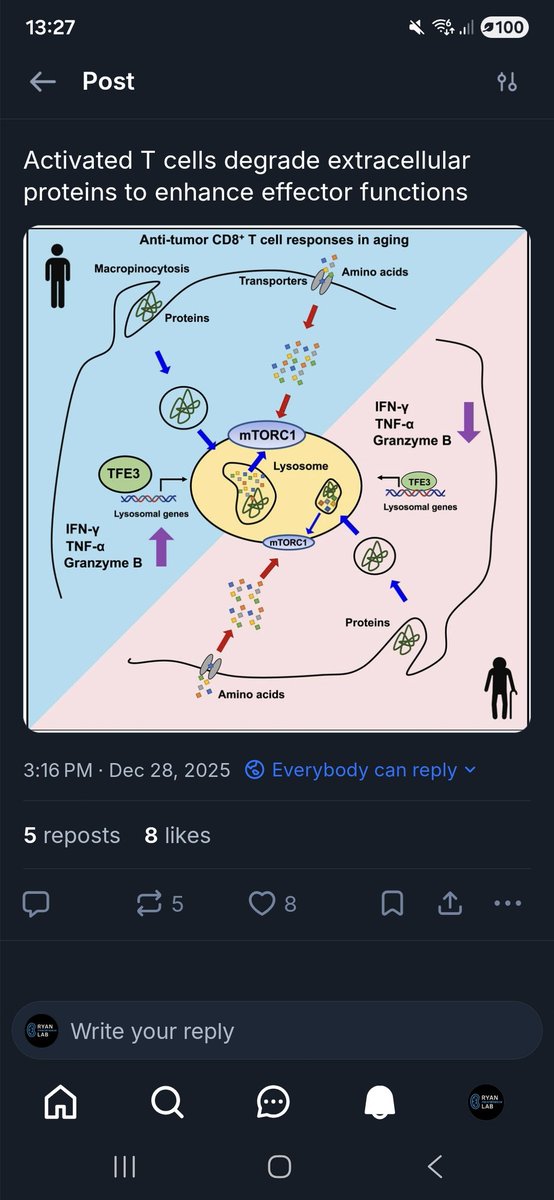 Dylan Ryan tweet media