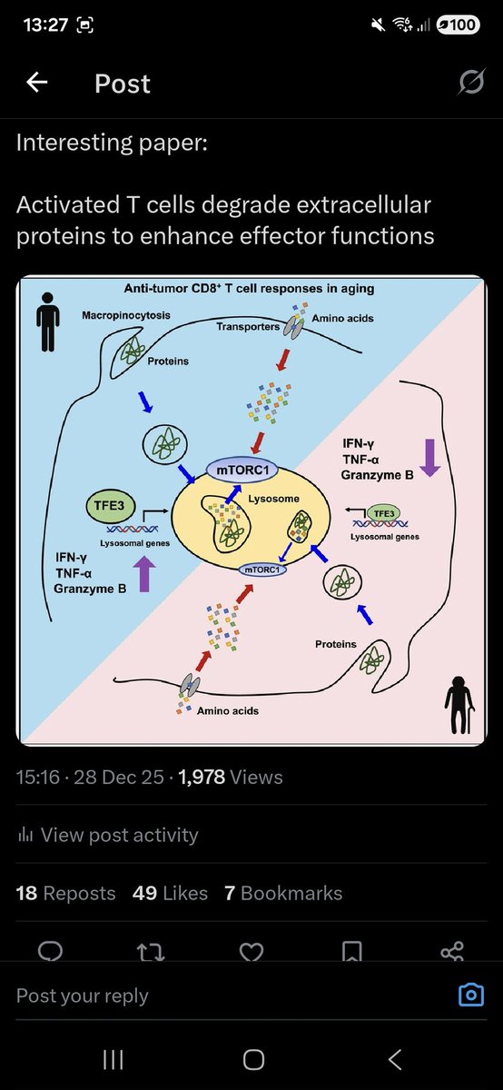 Dylan Ryan tweet media