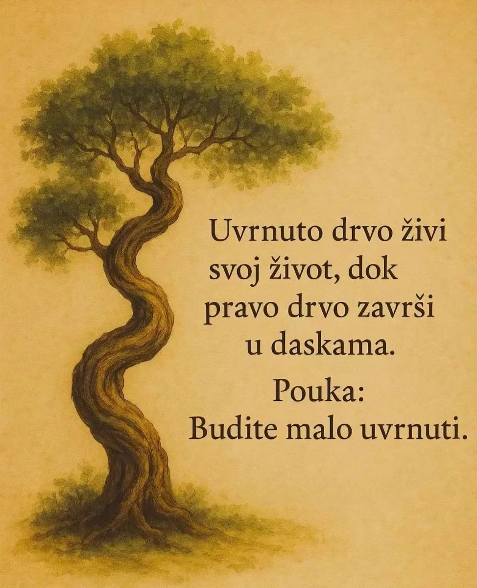 Moj Vic Dana (@mojvicdana) on Twitter photo 