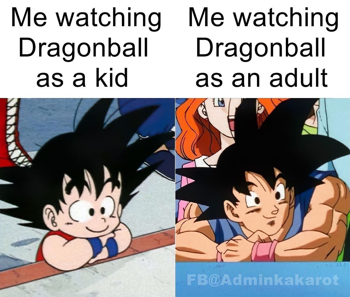 Dragon Ball Daily tweet media