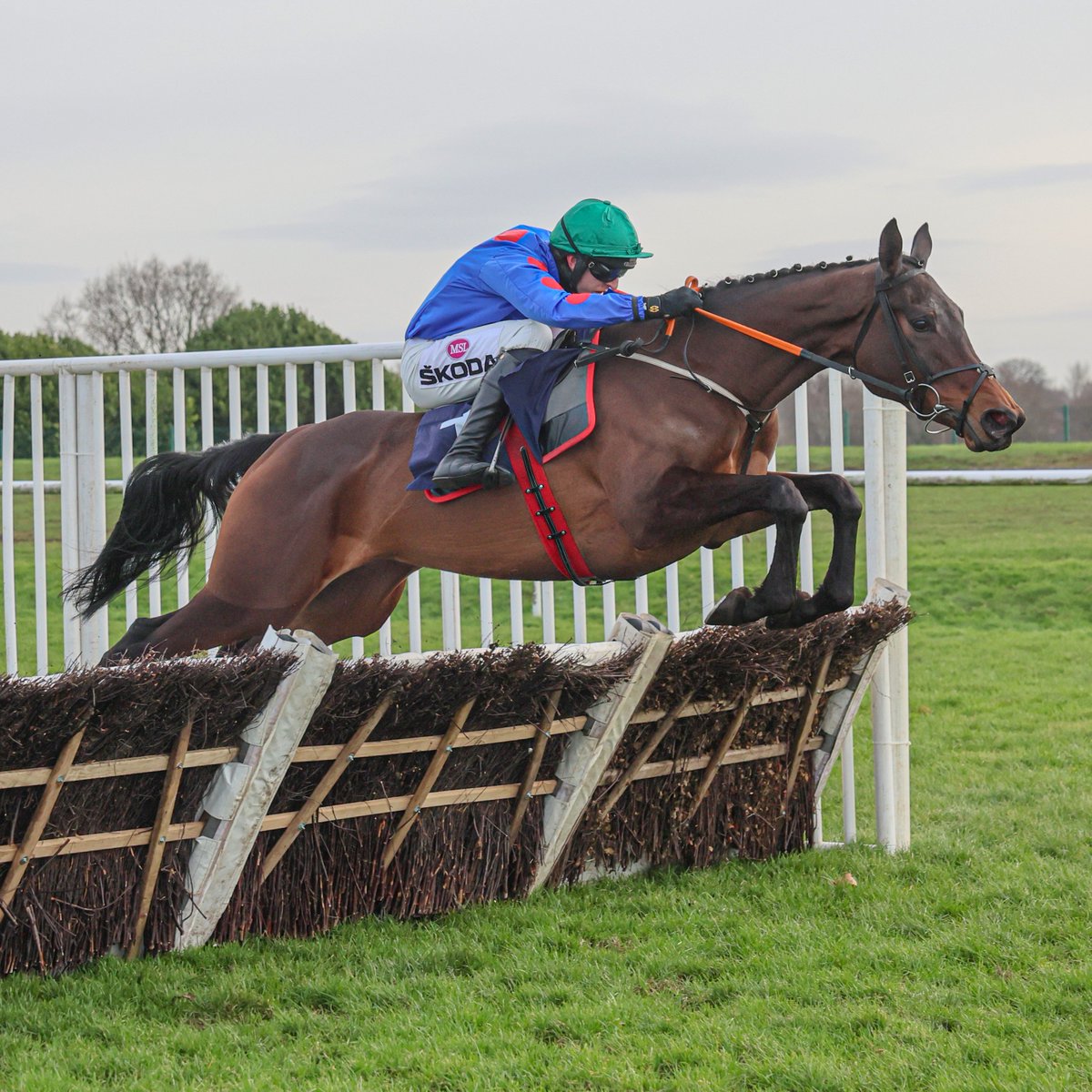 RacingPost's tweet image. WODHOOH wins the Kerrymount Mares Hurdle 💙