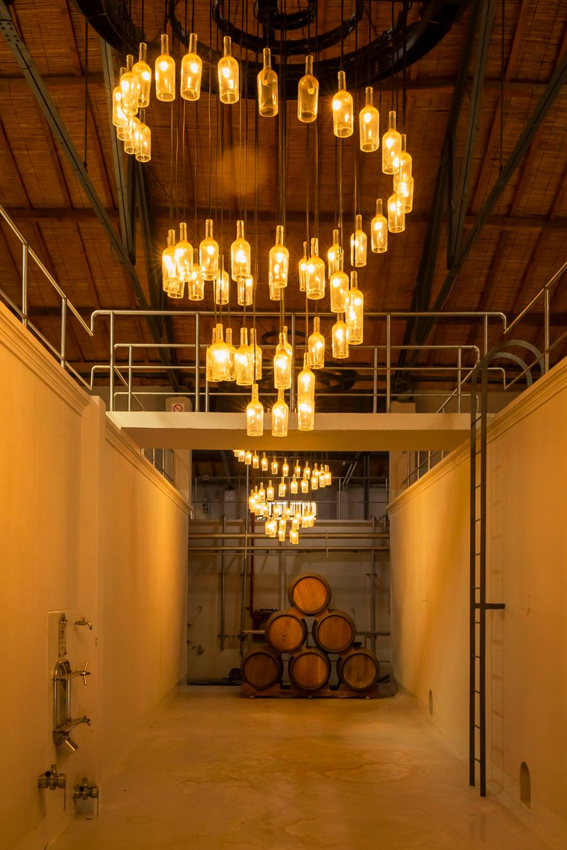 Bodega SINFIN tweet media