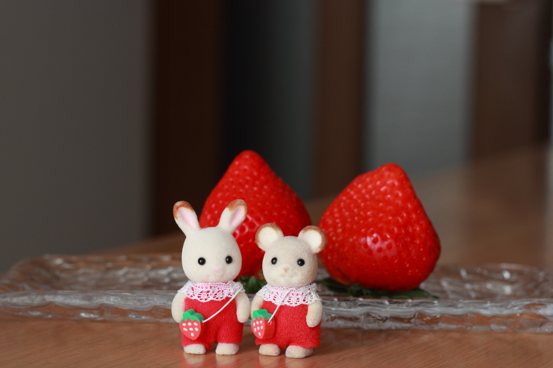 をかぴ tweet media