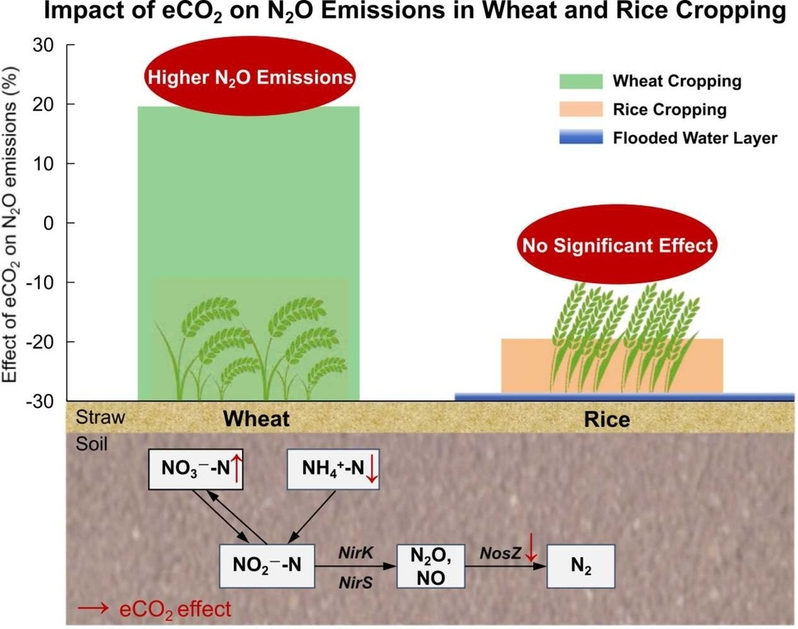 ManuDelgadoBaquerizo tweet media