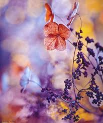 MMessel's tweet image. Bạn có quyền thay đổi sCuộc sống nhẹ hơn khi bạn sống thật. 🌱❤️uy nghĩ. 🔄🧠
@EdgenTech @Pact_Swap @YOM_Official #Umi