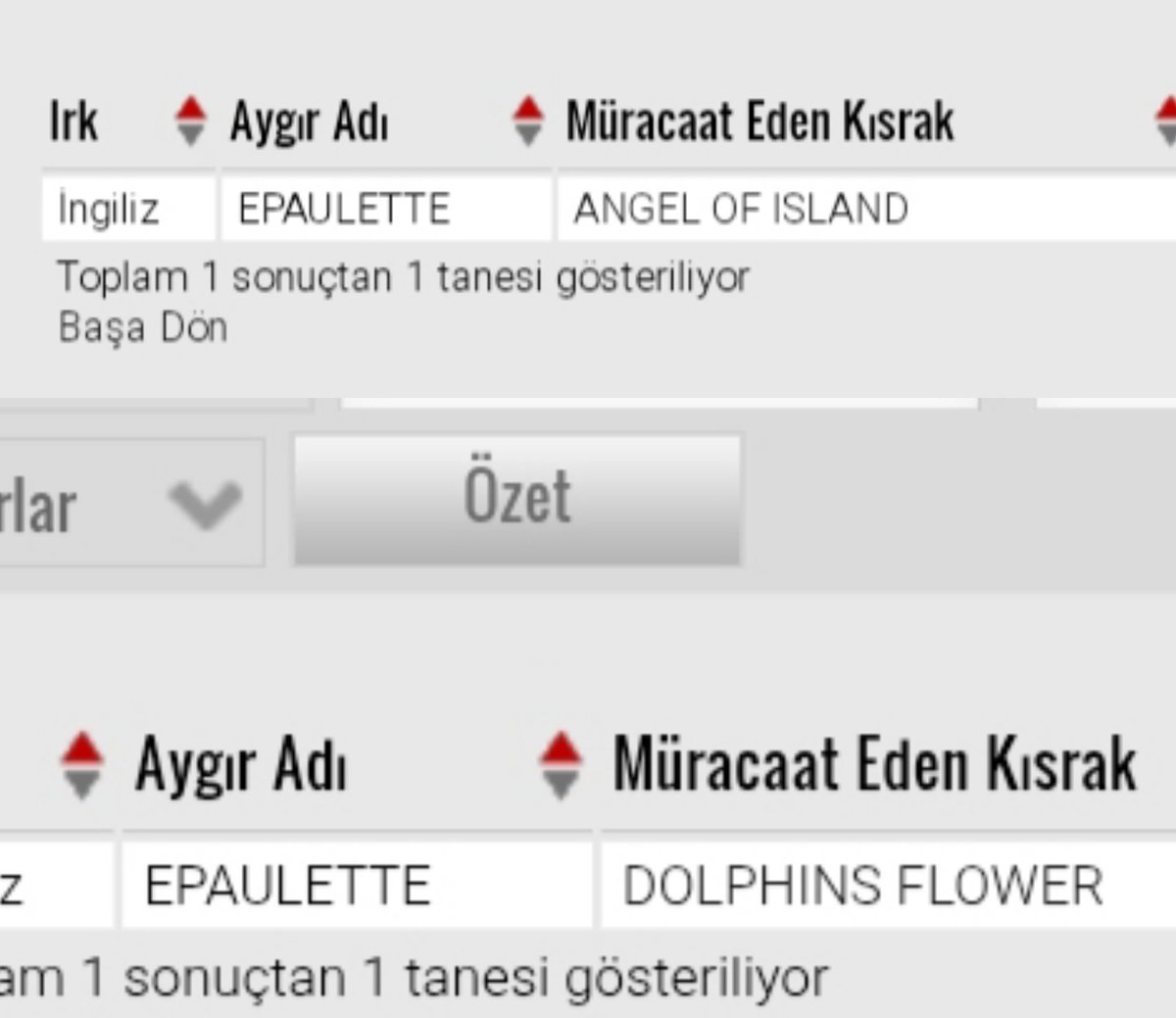 Hayallere ilk adım 🙏