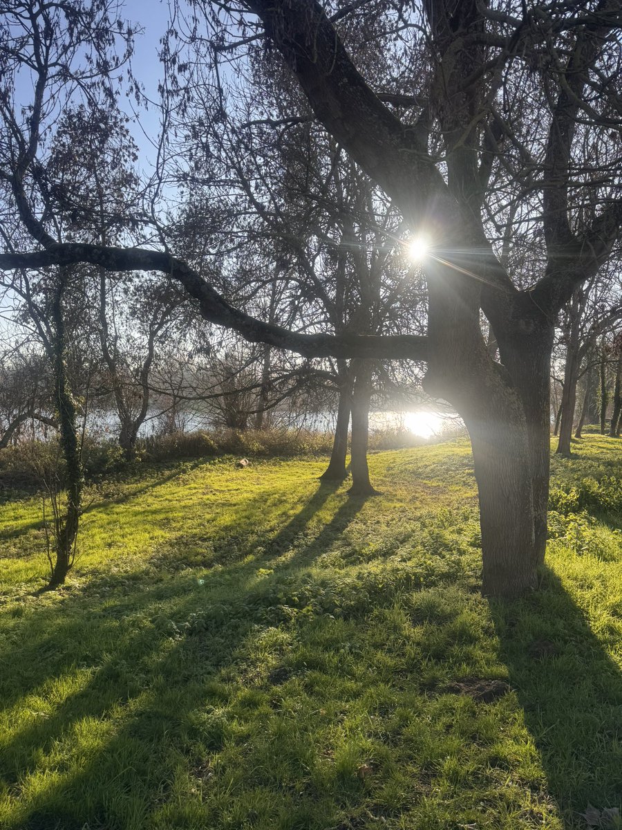 jorge pirès (@piresjorge5) on Twitter photo 