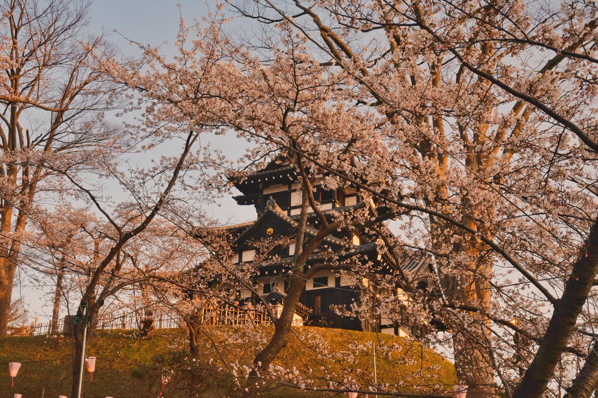 🐇れみりく🍩 tweet media