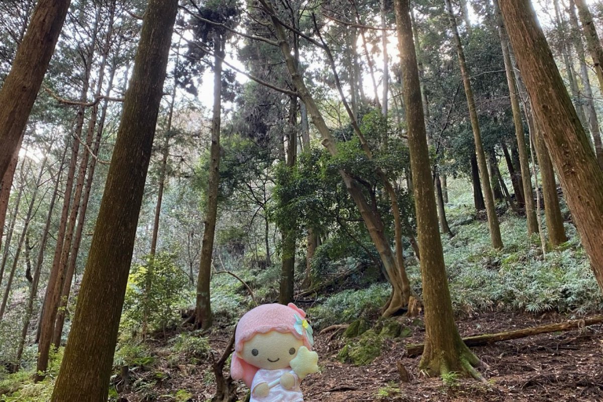 LOCATION JAPAN 綾野剛　表紙　ロケーションジャパン ララ (@lala404notfound) / Posts / X