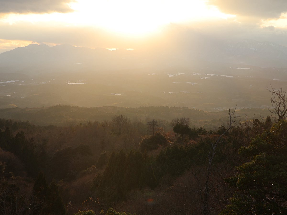 バズ (@yu27460182) on Twitter photo 