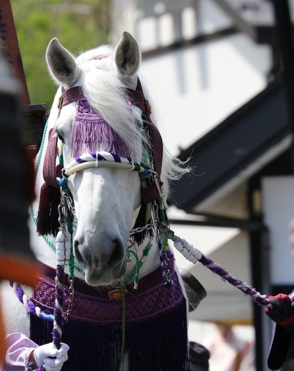 KAORIN (@kaorin1112zoo) / Posts / X