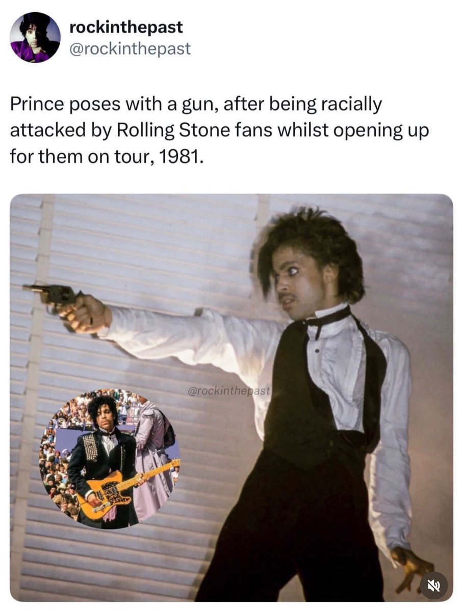 Miss Puss tweet media