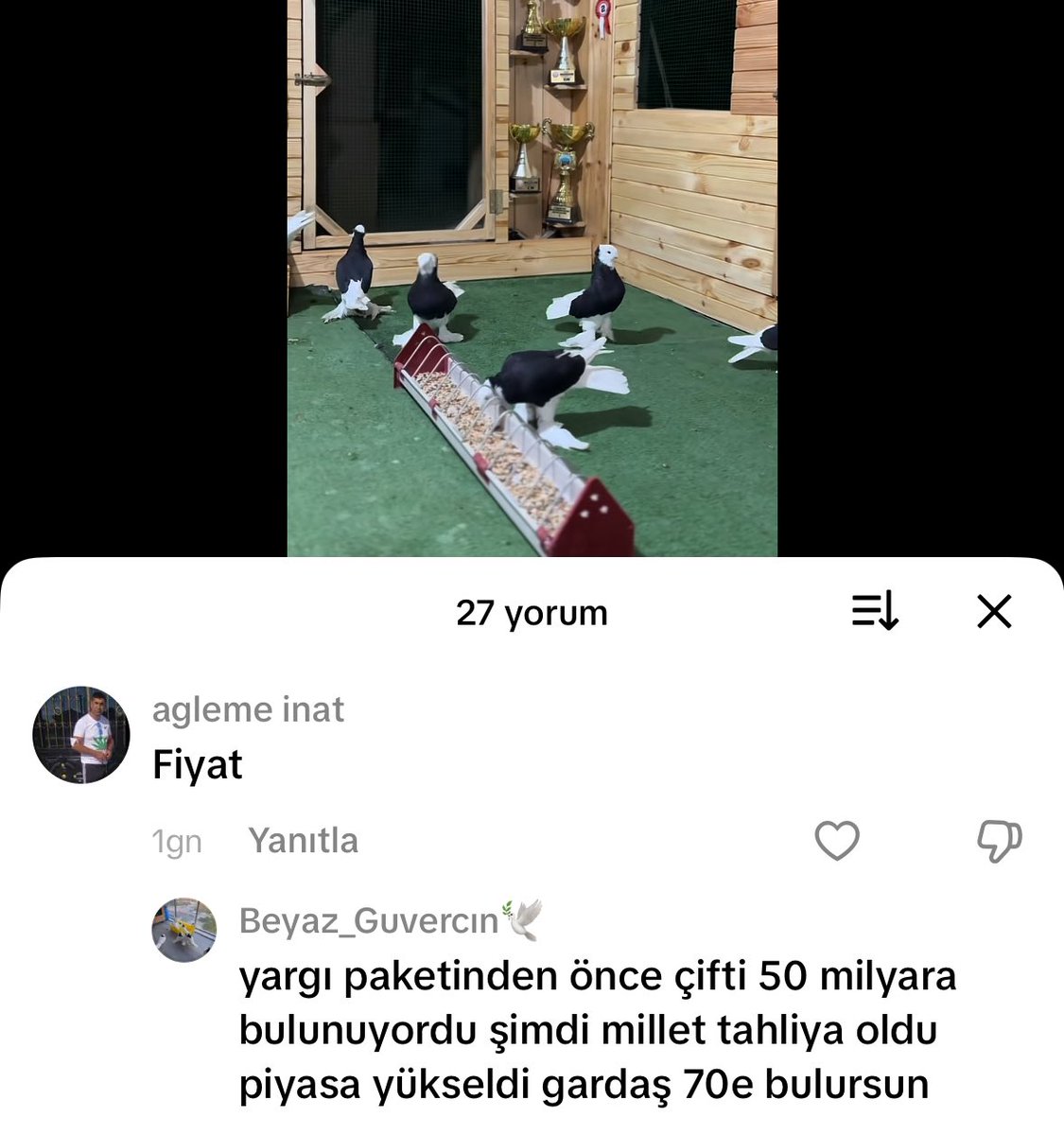 11. Yargı paketi yüzünden kuş piyasası yükselmiş ölücem amk nasıl bi topluluk bunlar