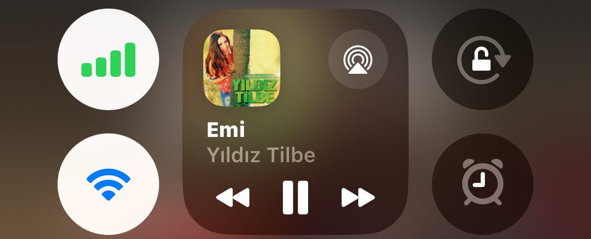 Berroski tweet media