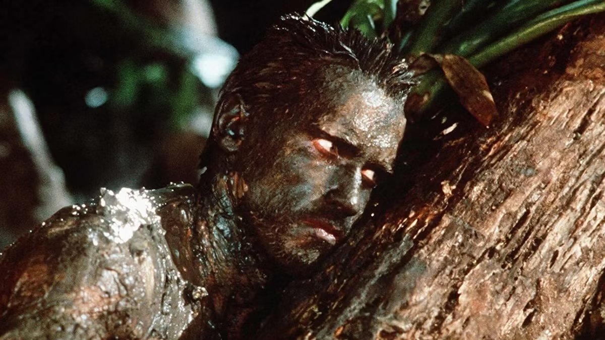 BORIS GEMMEAUX tweet media