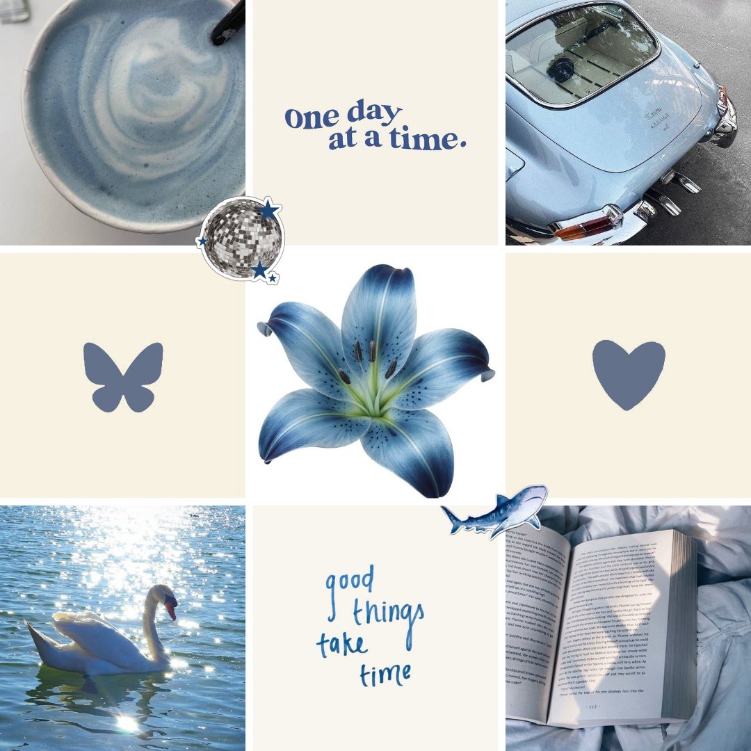 becah 📚 tweet media