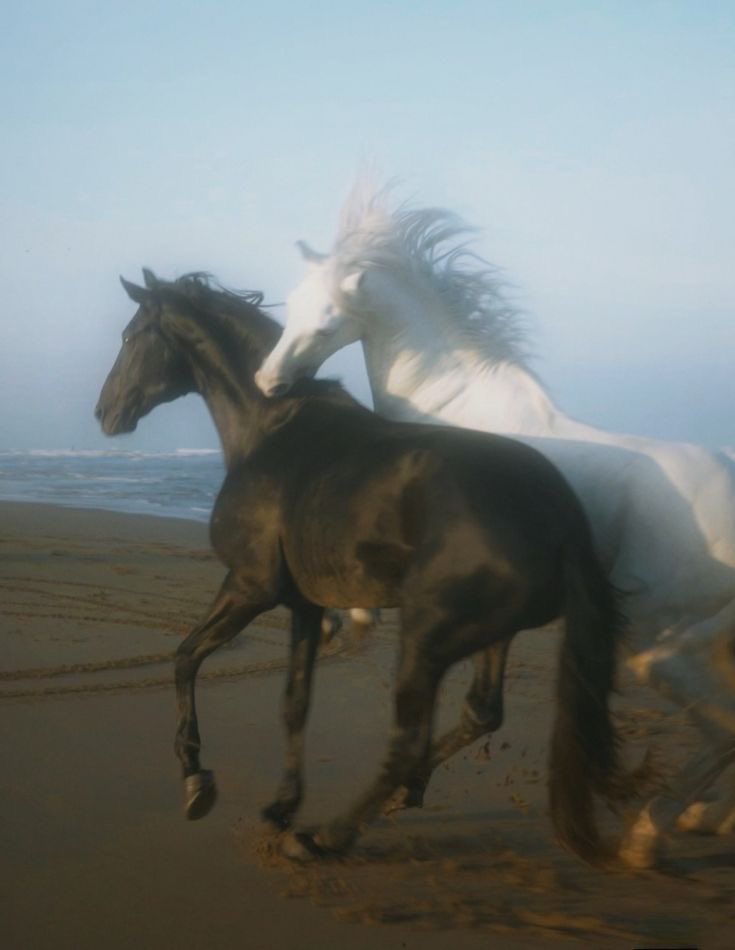 رحال (@ra77ai) on Twitter photo 