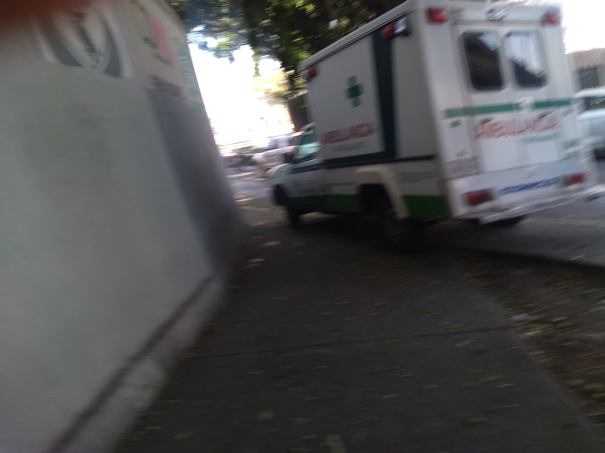 Elisa T Hernández tweet media