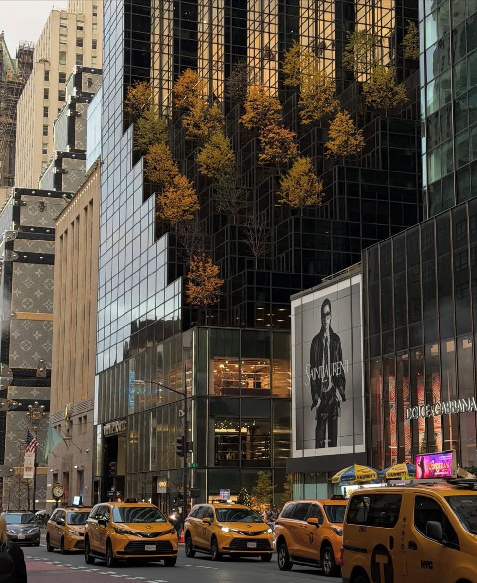 new york city screams my name