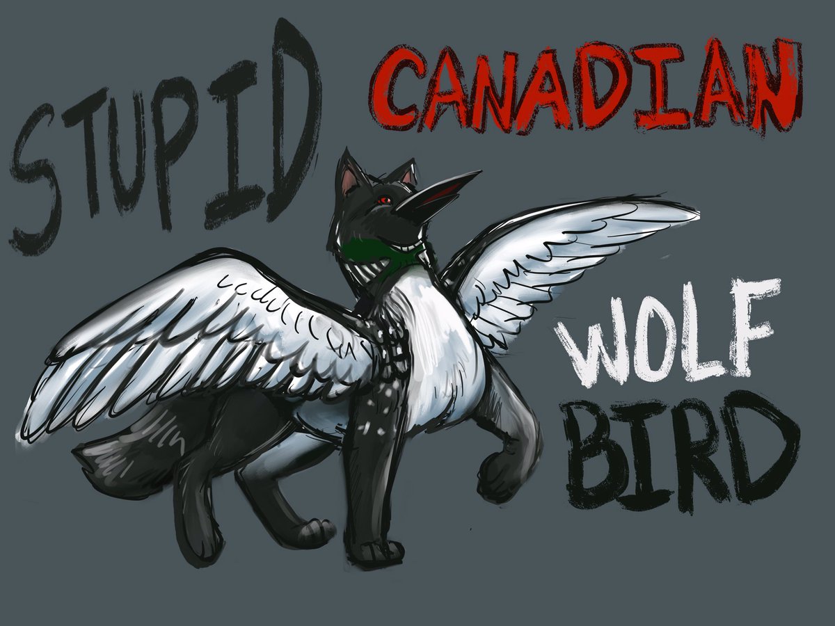 “stupid Canadian Wolf Bird” 
So of course I had to draw a loon/wolf griffin
#heatedrivalry #wolfbird #hollanov