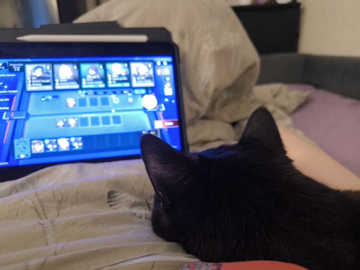 noneift's tweet image. Уля очень внимательно смотрит со мной валютки