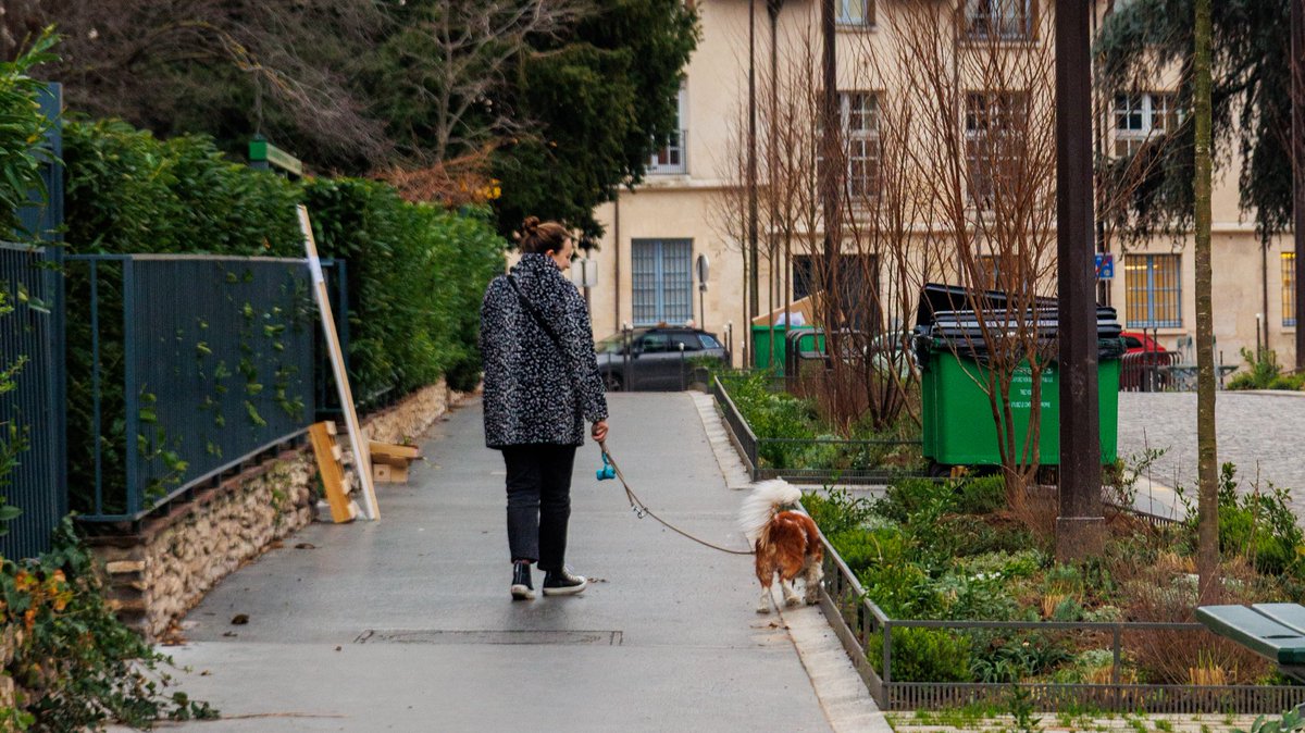 David Belliard tweet media