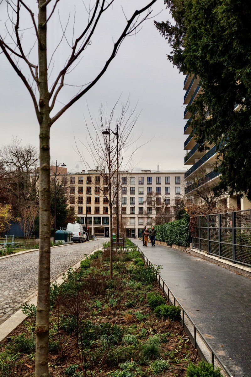 David Belliard tweet media