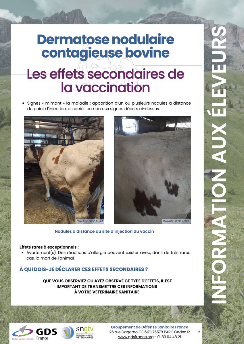 BanounHelene's tweet image. gdsbfc.org/les-maladies/l…

Dermatose nodulaire contagieuse bovine
Les effets secondaires de la vaccination
jusqu’à un mois après.
Fréquents : signes « mimant » maladie
Rares: Avortement(s), allergie peuvent exister avec, dans de très rares cas, la mort de l’animal.