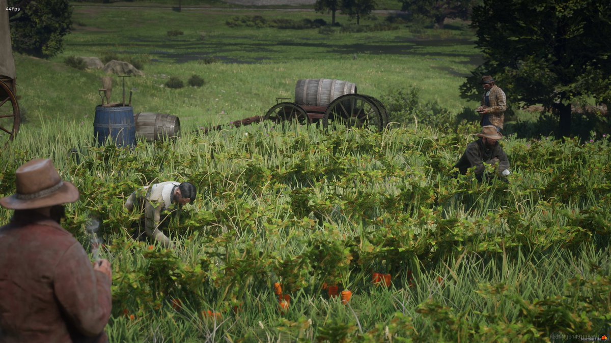 Red Dead News tweet media