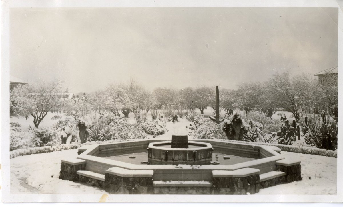 arizonaalumni's tweet image. Yes, it can snow in Tucson. ☃️🌵

Enjoy these photos from rare snow days at the University of Arizona.

Images courtesy of Special Collections, the University of Arizona.