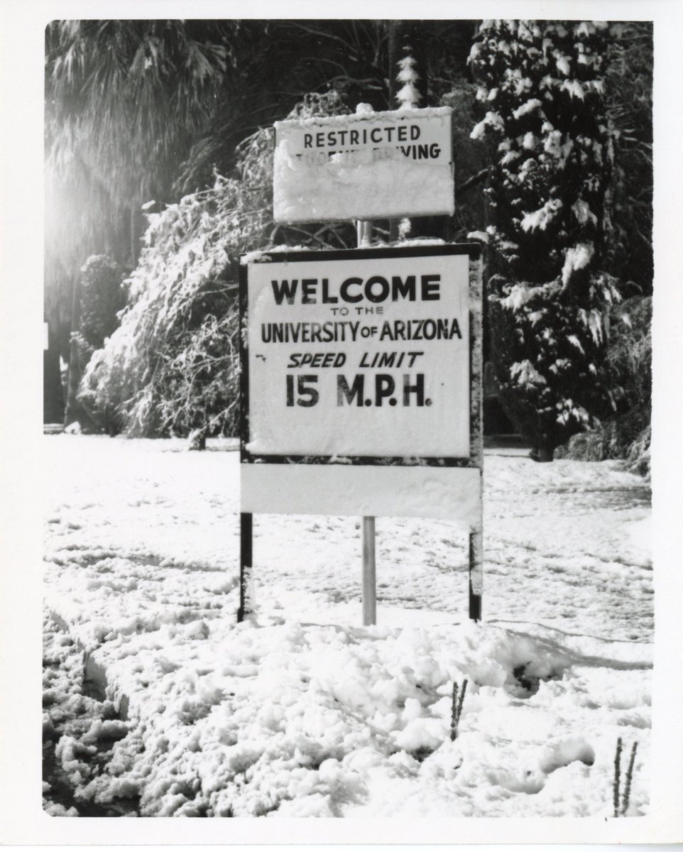 arizonaalumni's tweet image. Yes, it can snow in Tucson. ☃️🌵

Enjoy these photos from rare snow days at the University of Arizona.

Images courtesy of Special Collections, the University of Arizona.