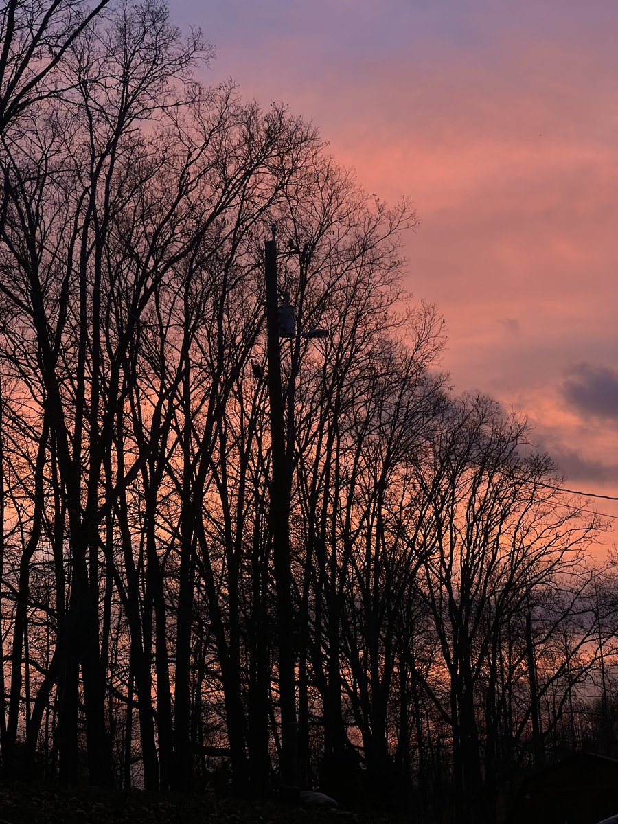 wheretfisalex's tweet photo. oh the sky https://t.co/WXm6TqPZhD