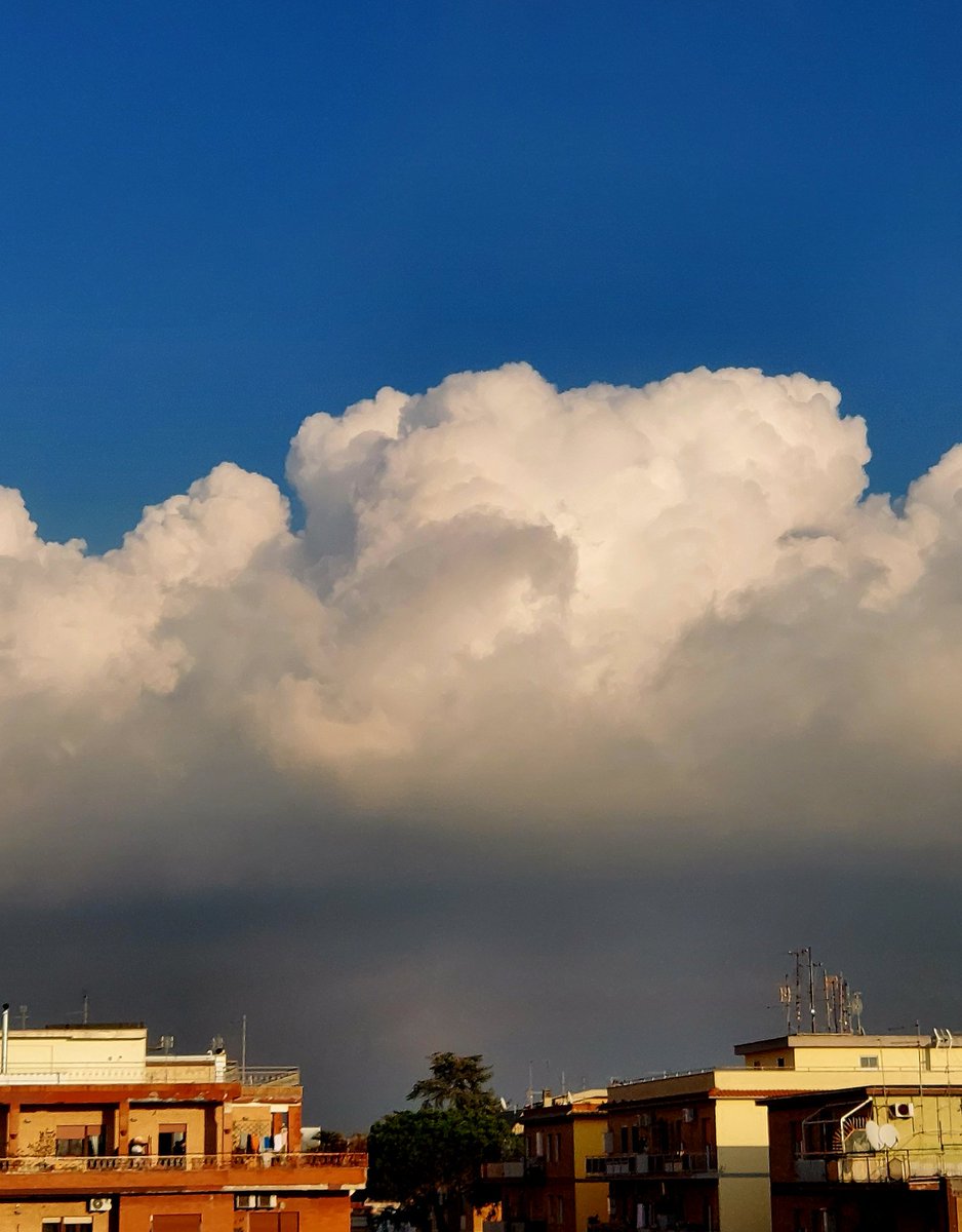 Maria Lea tweet media