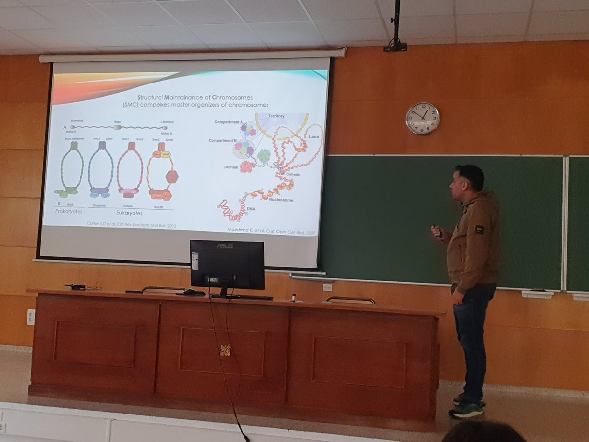 Mariano Hdez tweet media