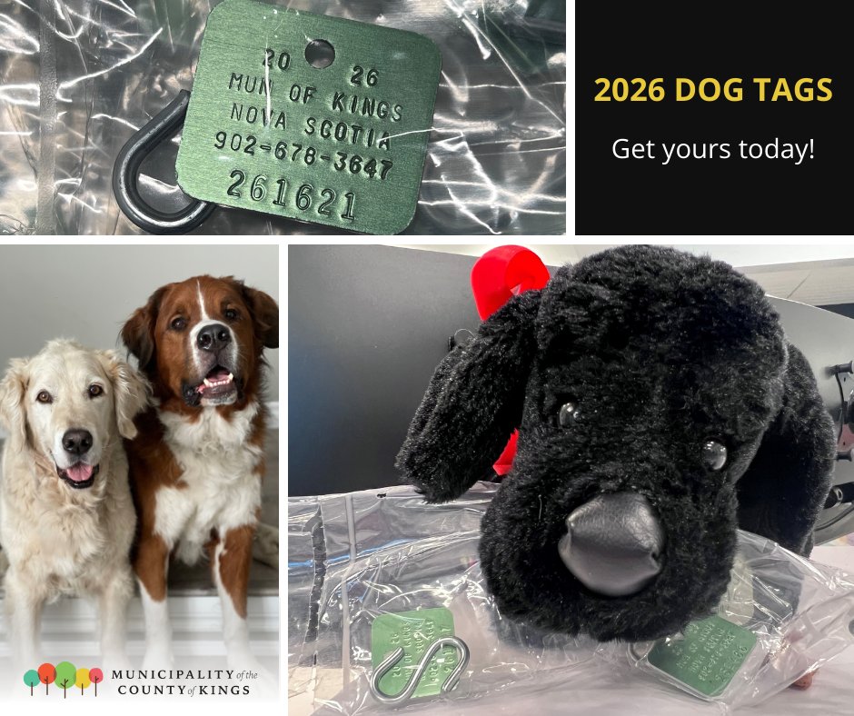 2026 dog tags are available now! Dog tags can help the Municipality reunite owners with lost or injured pets. Visit the Municipality's website to learn more about how to register your dog today: countyofkings.ca/dog-licensing
