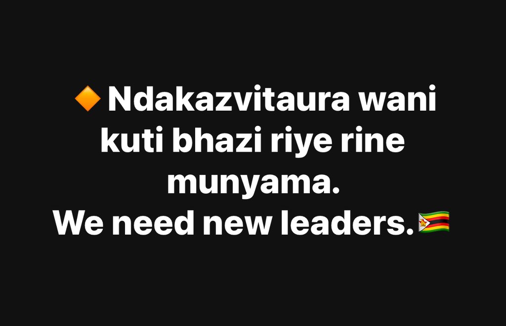 Fadzayi Mahere🇿🇼 (@advocatemahere) on Twitter photo 