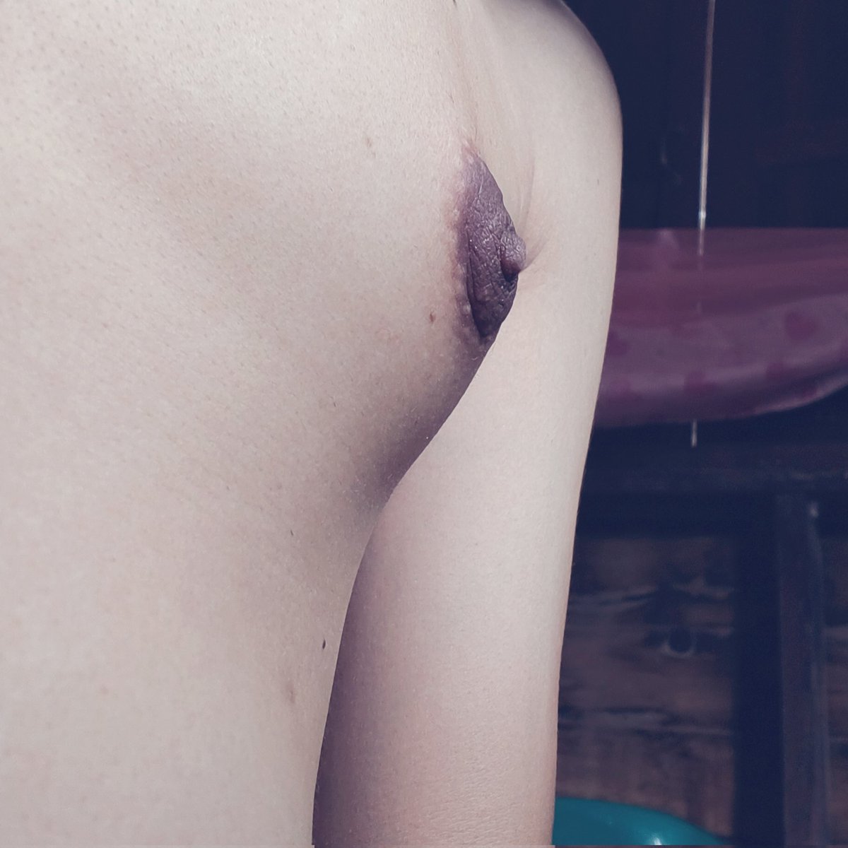 Dm Panny tweet media