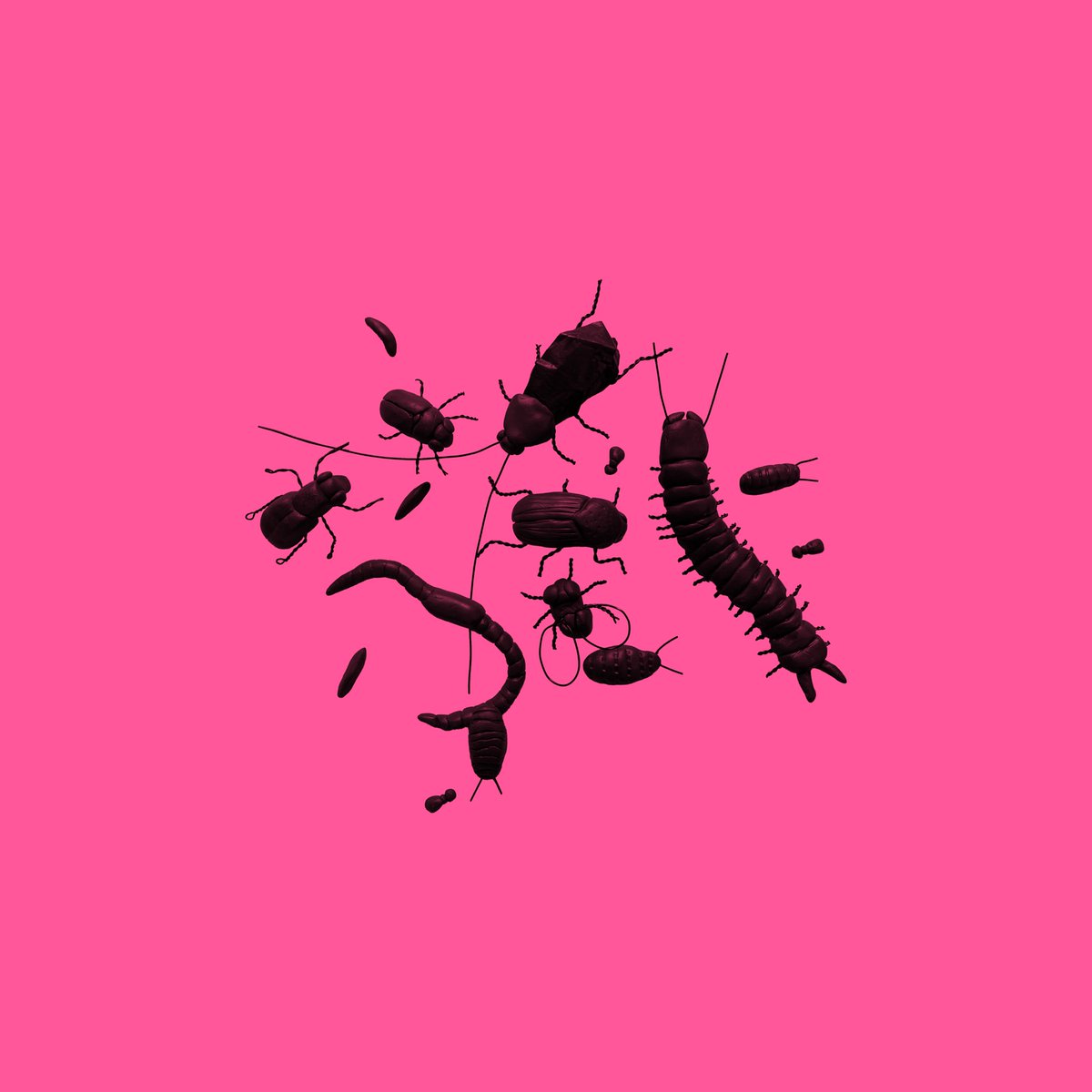 Robert Writhe tweet media